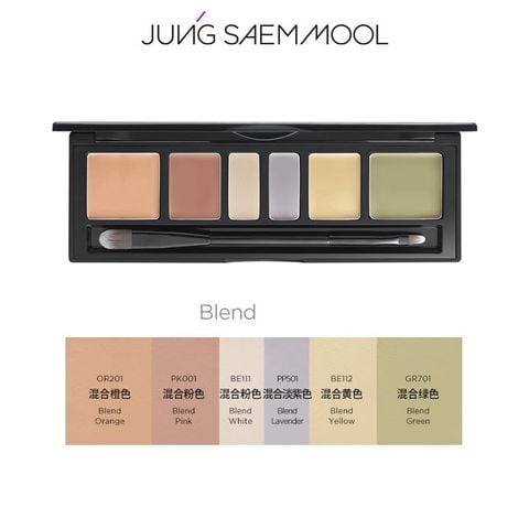 Bảng Che Khuyết Điểm Jung Saem Mool Artist Concealer Palette