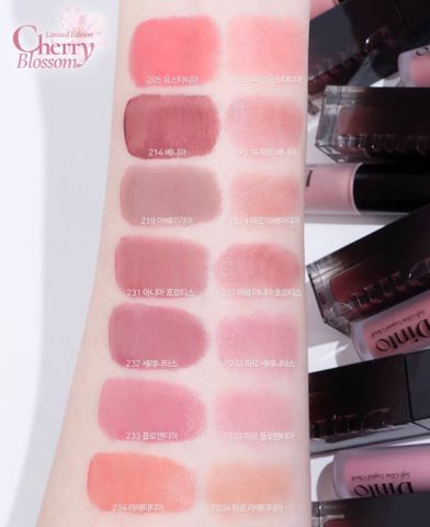 Set Son + Má Hồng Dinto Blur Glowy & Perfect Pair