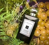 Nước hoa Jo Malone Cypress & Grapevine Cologne Intense 100ml