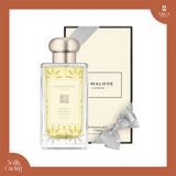 Nước Hoa Jo Malone Starlit Mandarin & Honey 100Ml