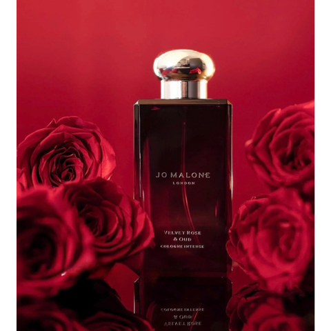 Nước Hoa Jo Malone Velvet Rose & Oud Cologne Intense 100Ml