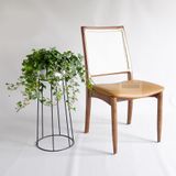 Ghế Ăn Gỗ Mây Lưng Tựa - G25