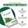  Bột cải xoăn Kale nguyên chất Goce (20 gói x 3g) 