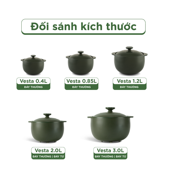 Nồi dưỡng sinh Vesta 2.0 L + nắp (CK) - Healthy Cook - Xanh Rêu