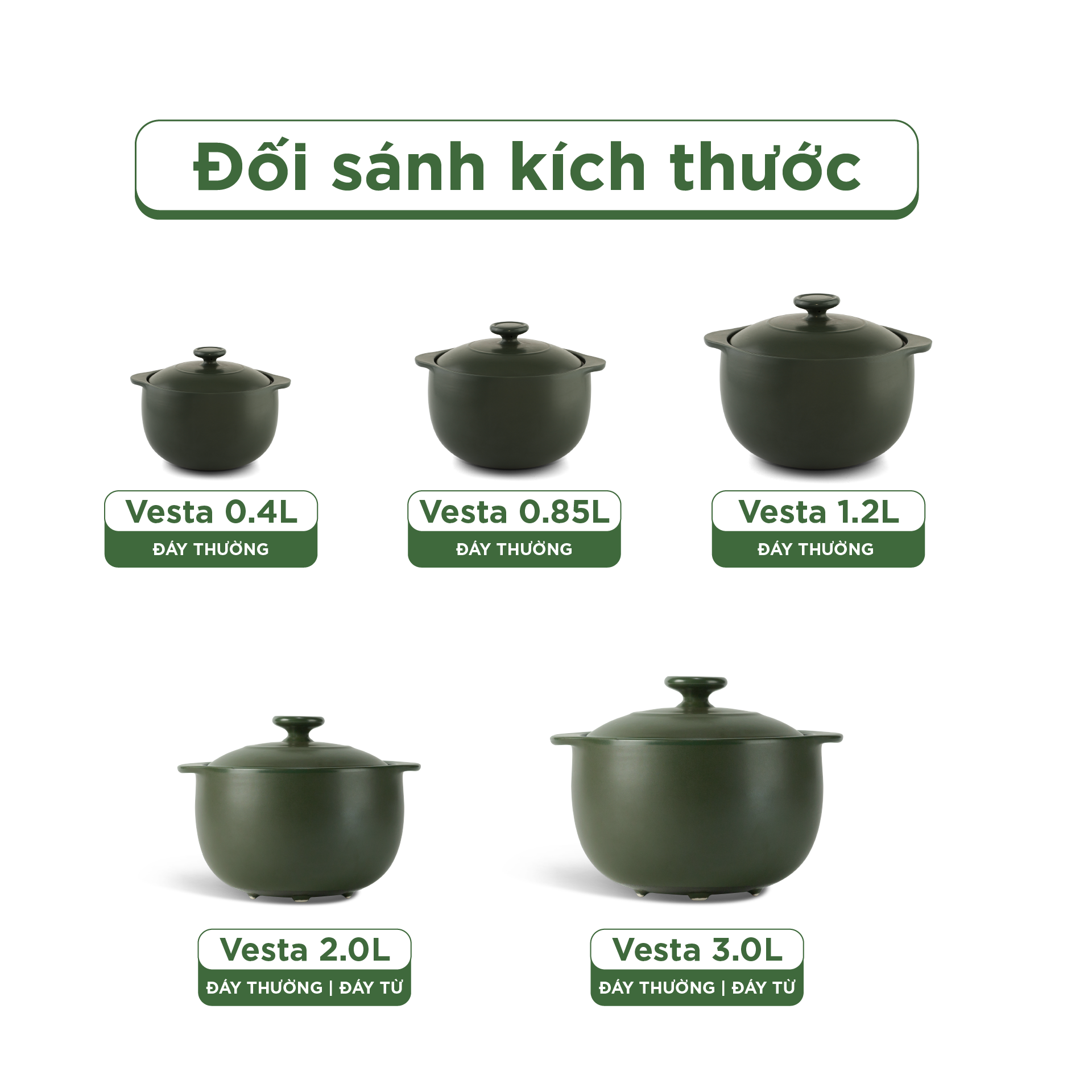 Nồi dưỡng sinh Vesta 2.0 L + nắp (CK) - Healthy Cook - Xanh Rêu