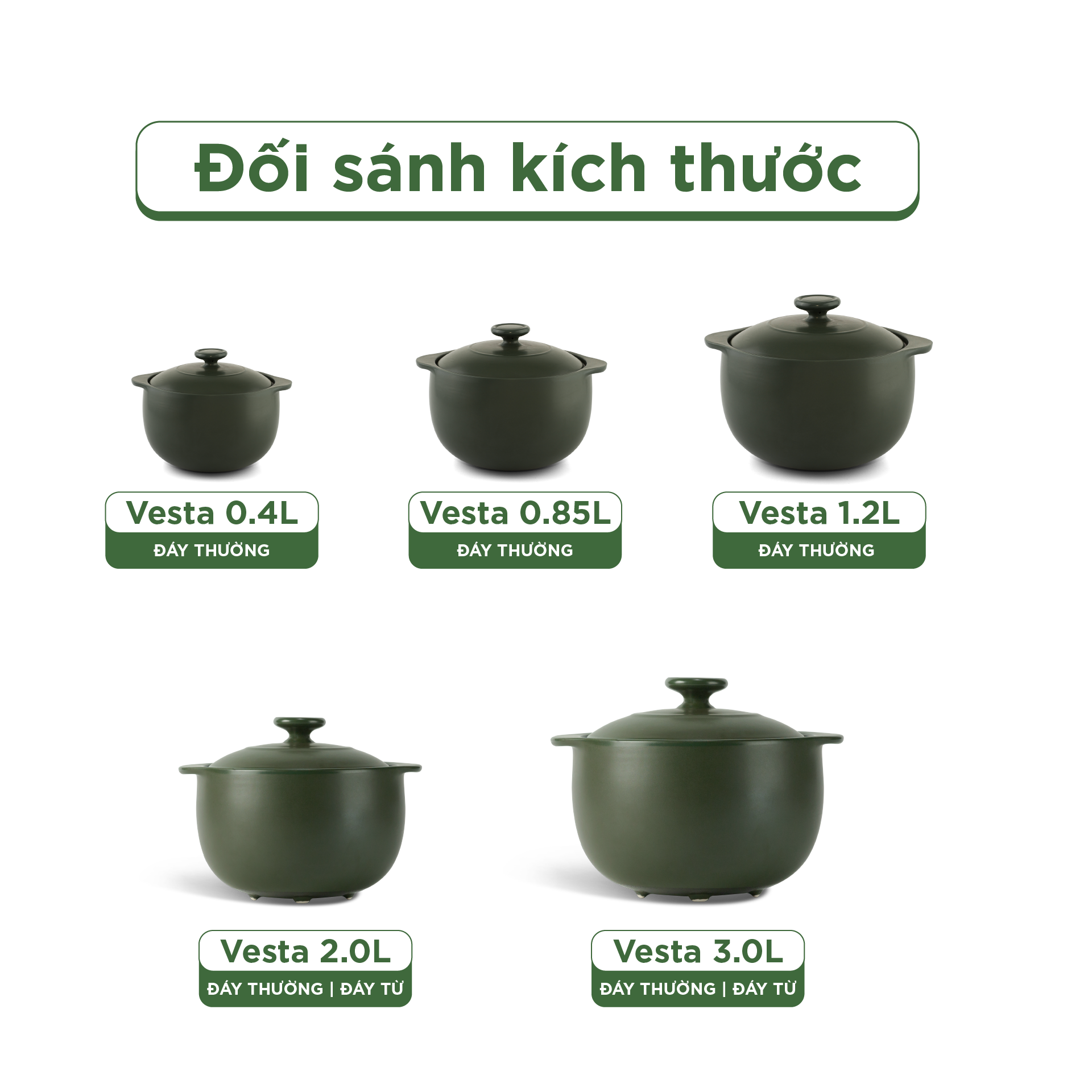 Nồi dưỡng sinh Vesta 3.0 L + nắp (CK) - Healthy Cook - Xanh Rêu