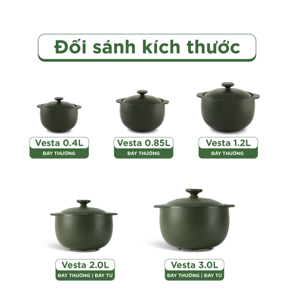 Nồi dưỡng sinh Vesta (Nồi tròn cao) 3.0 L + nắp (Bếp từ) - Xanh Rêu