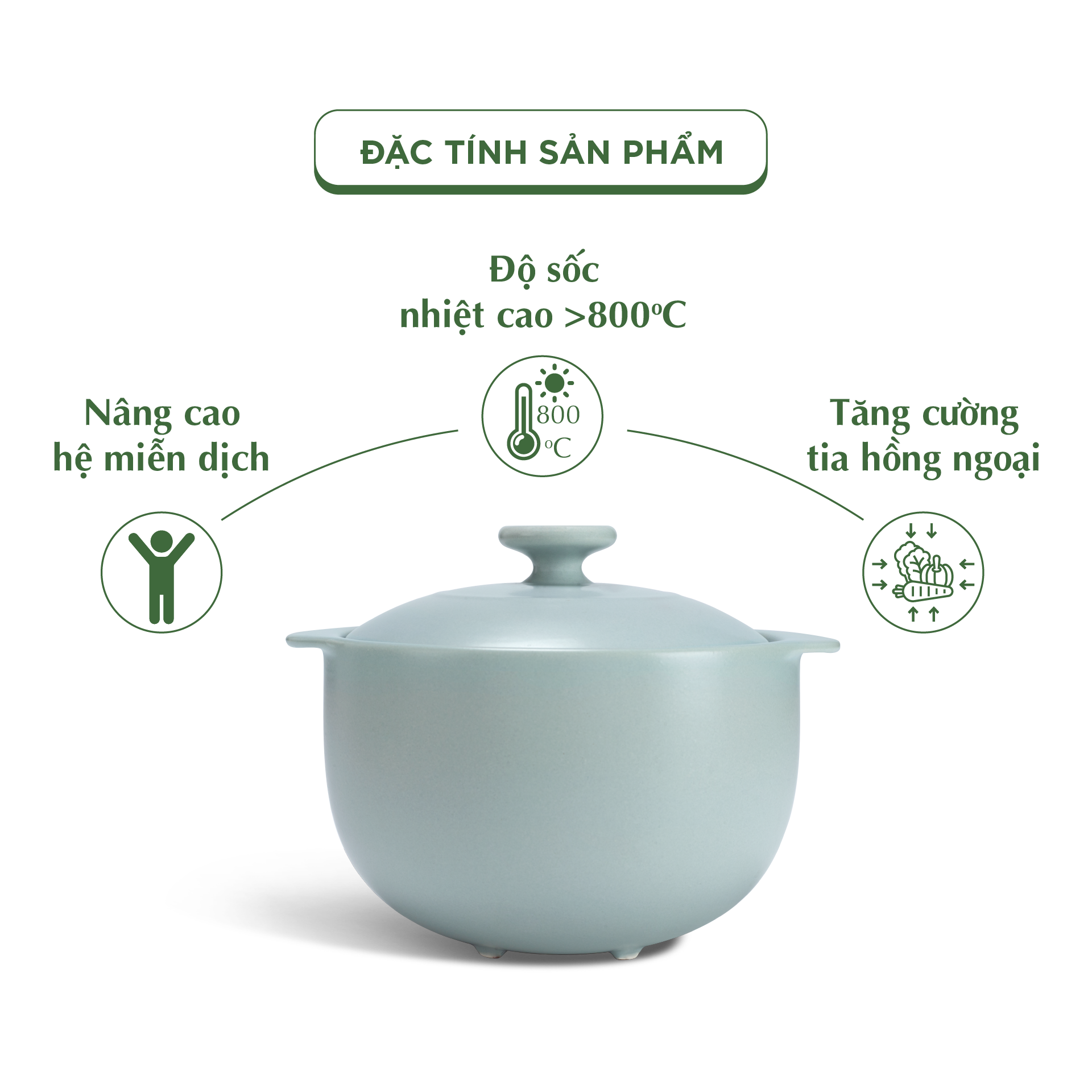 Nồi dưỡng sinh Vesta (Nồi tròn cao) 3.0 L + nắp (CK) (bếp từ) - Màu Xám 2