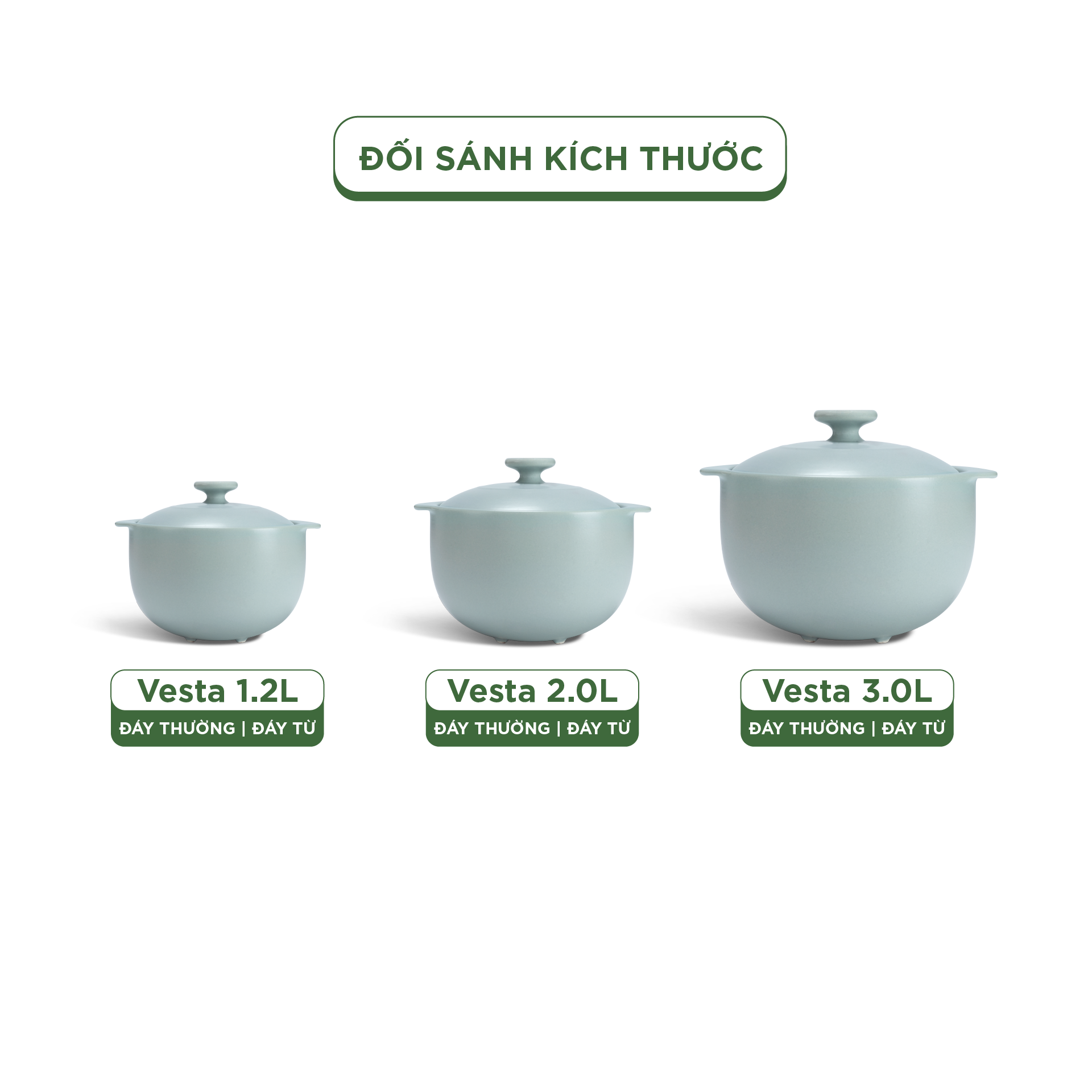 Nồi dưỡng sinh Vesta (Nồi tròn cao) 3.0 L + nắp (CK) (bếp từ) - Màu Xám 2