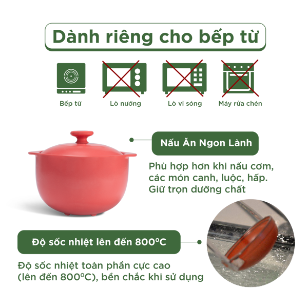 Nồi dưỡng sinh Vesta (Nồi tròn cao) 3.0 L + nắp (CK) (bếp từ) - Màu Đỏ 2