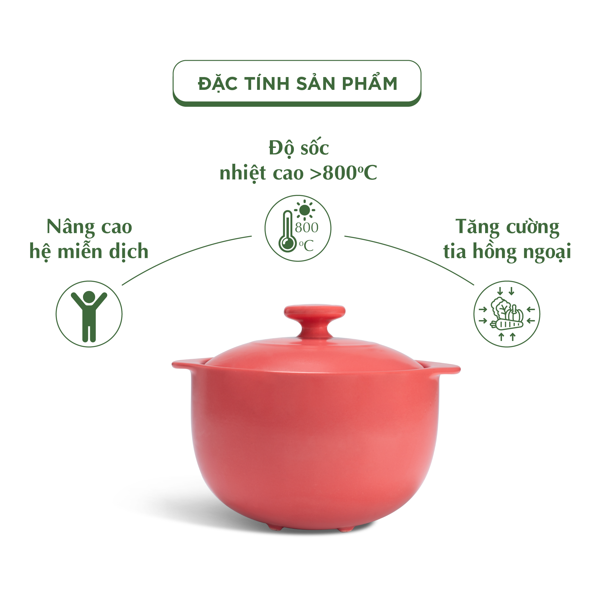 Nồi dưỡng sinh Vesta (Nồi tròn cao) 1.2 L + nắp (CK) - Màu Đỏ 2