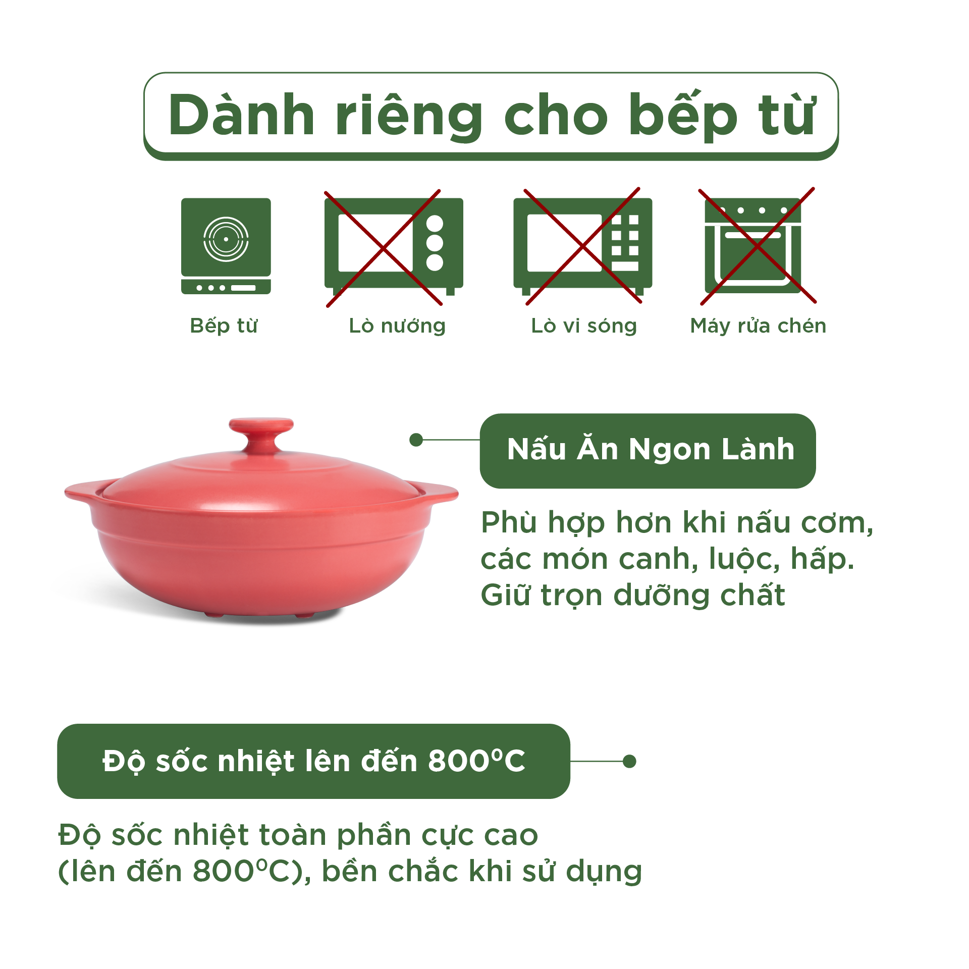 Nồi dưỡng sinh Luna (Nồi cạn) 2.0 L + nắp (CK) (bếp từ) - Màu Đỏ 2