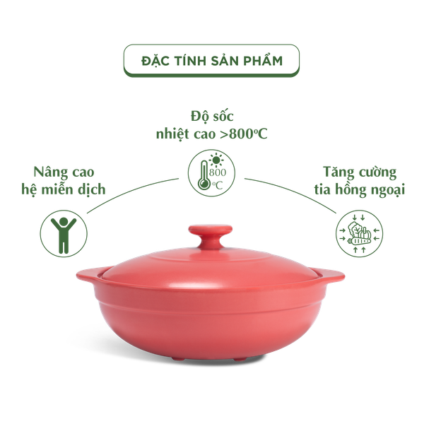 Nồi dưỡng sinh Luna (Nồi cạn) 3.0 L + nắp (CK) (bếp từ) - HealthyCook - Màu Đỏ 2