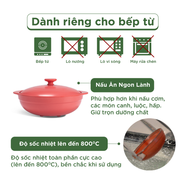 Nồi dưỡng sinh Luna (Nồi cạn) 3.0 L + nắp (CK) (bếp từ) - HealthyCook - Màu Đỏ 2