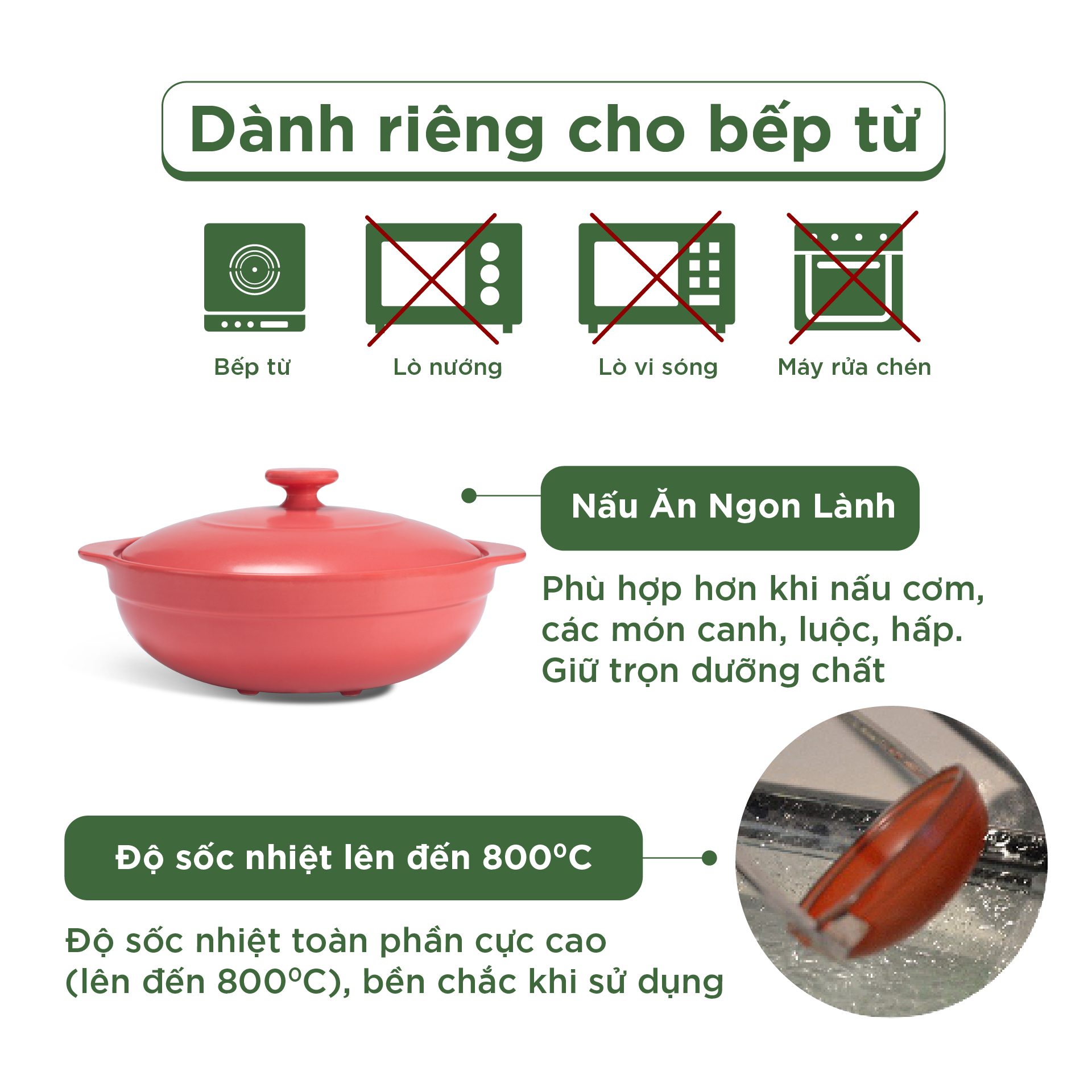 Nồi dưỡng sinh Luna (Nồi cạn) 3.0 L + nắp (CK) (bếp từ) - HealthyCook - Màu Đỏ 2