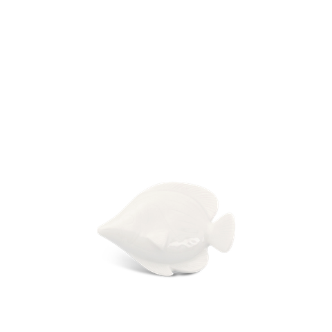  Cá gác đũa 1 - Misc Assortment - Trắng 