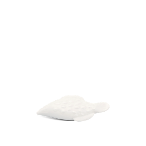  Cá gác đũa 4 - Misc Assortment - Trắng 