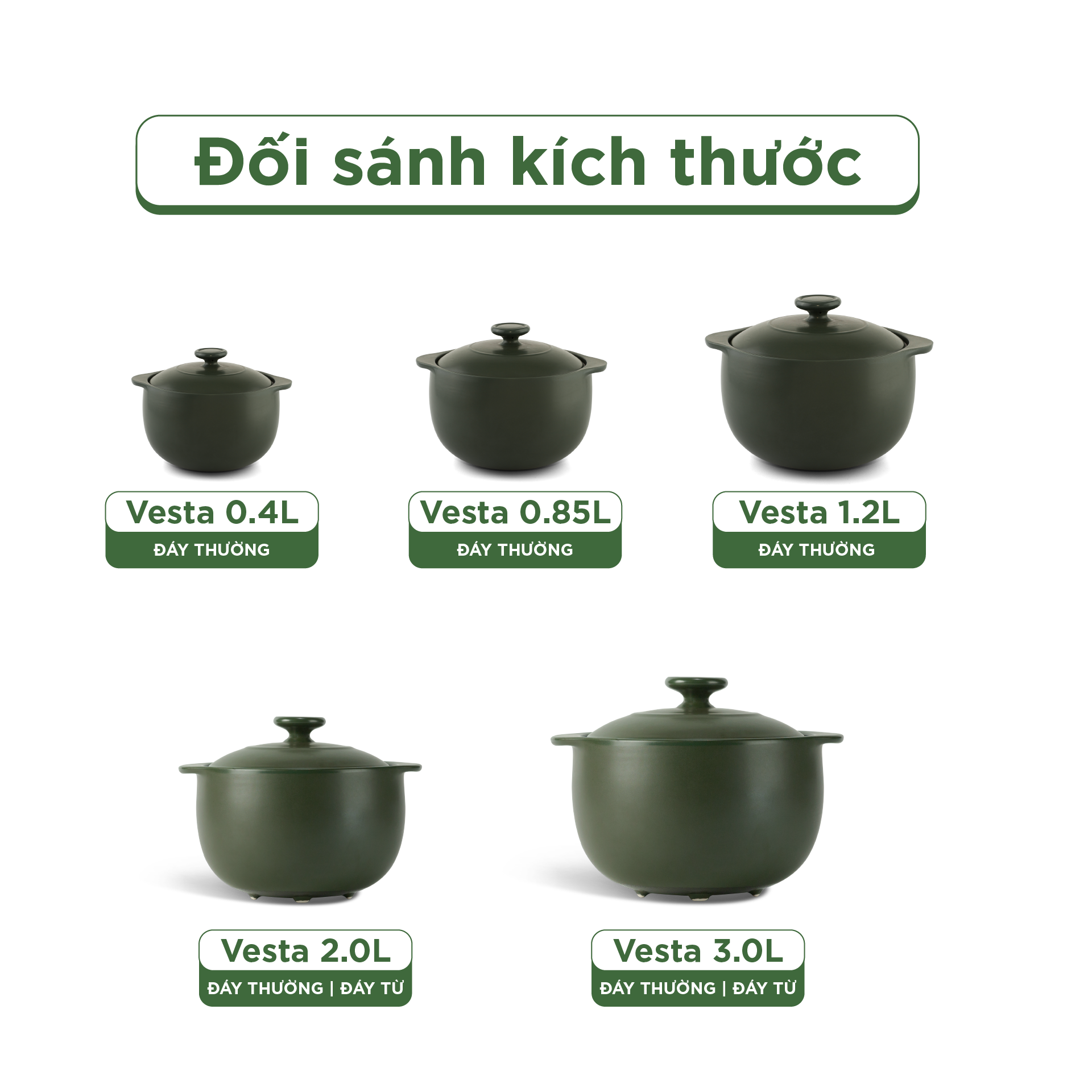 Nồi dưỡng sinh Vesta (Nồi tròn cao) 2.0 L + nắp (CK) (bếp từ) - Xanh Rêu