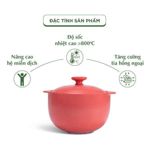 Nồi dưỡng sinh Vesta (Nồi tròn cao) 2.0 L + nắp (CK) (bếp từ) - Màu Đỏ 2
