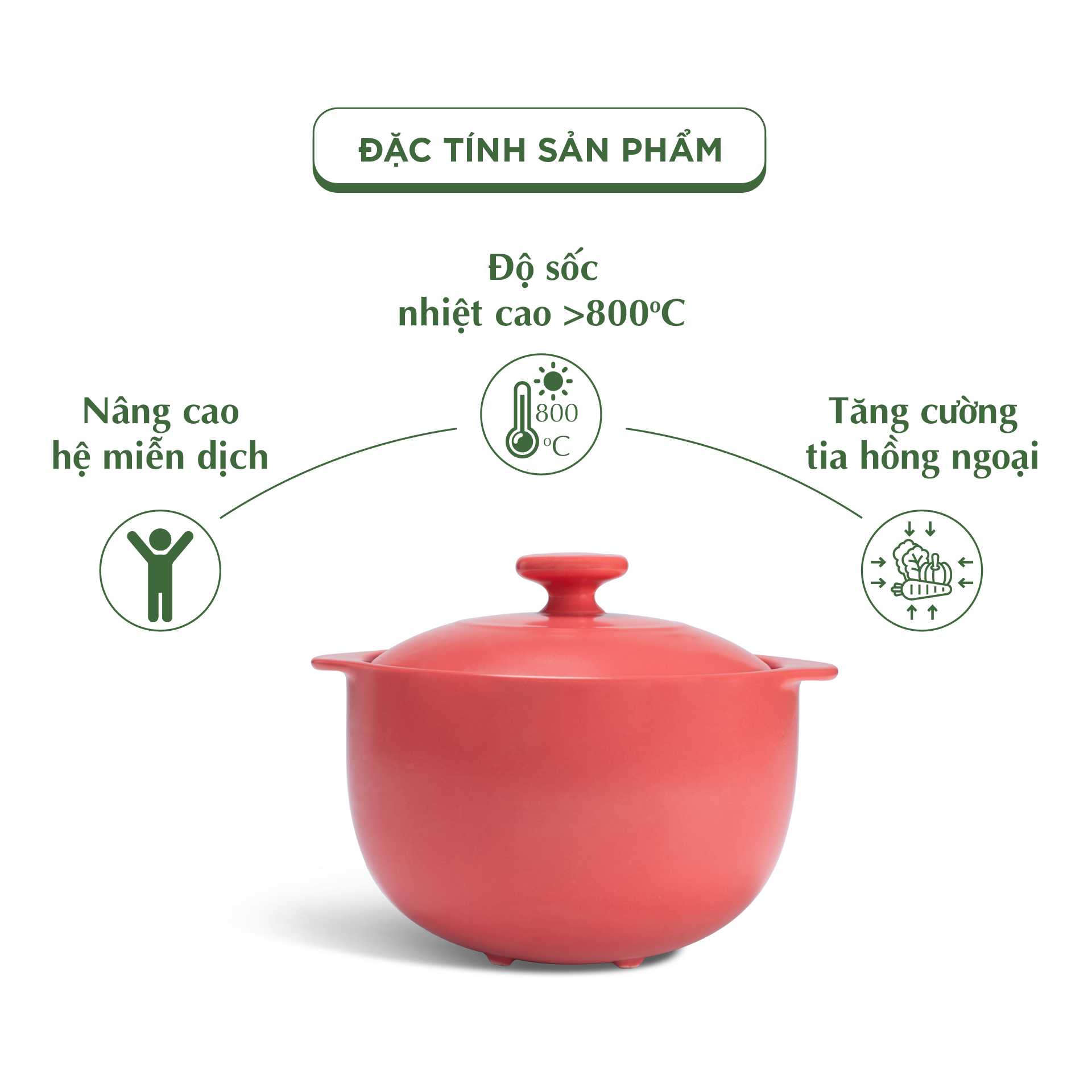 Nồi dưỡng sinh Vesta (Nồi tròn cao) 2.0 L + nắp (CK) (bếp từ) - Màu Đỏ 2