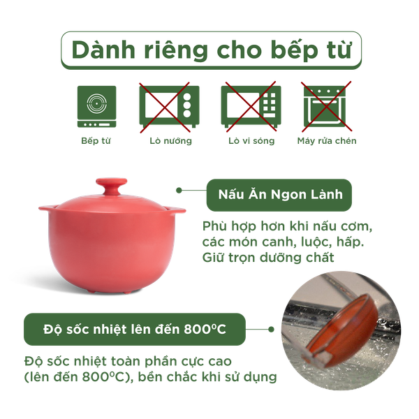 Nồi dưỡng sinh Vesta (Nồi tròn cao) 2.0 L + nắp (CK) (bếp từ) - Màu Đỏ 2