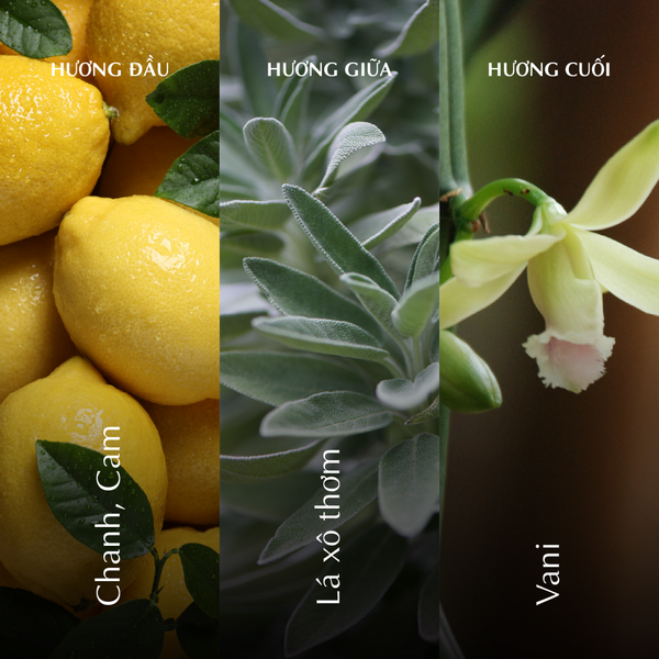 Nến thơm (K1) - Hương Hạ - Màu Xanh Dương
