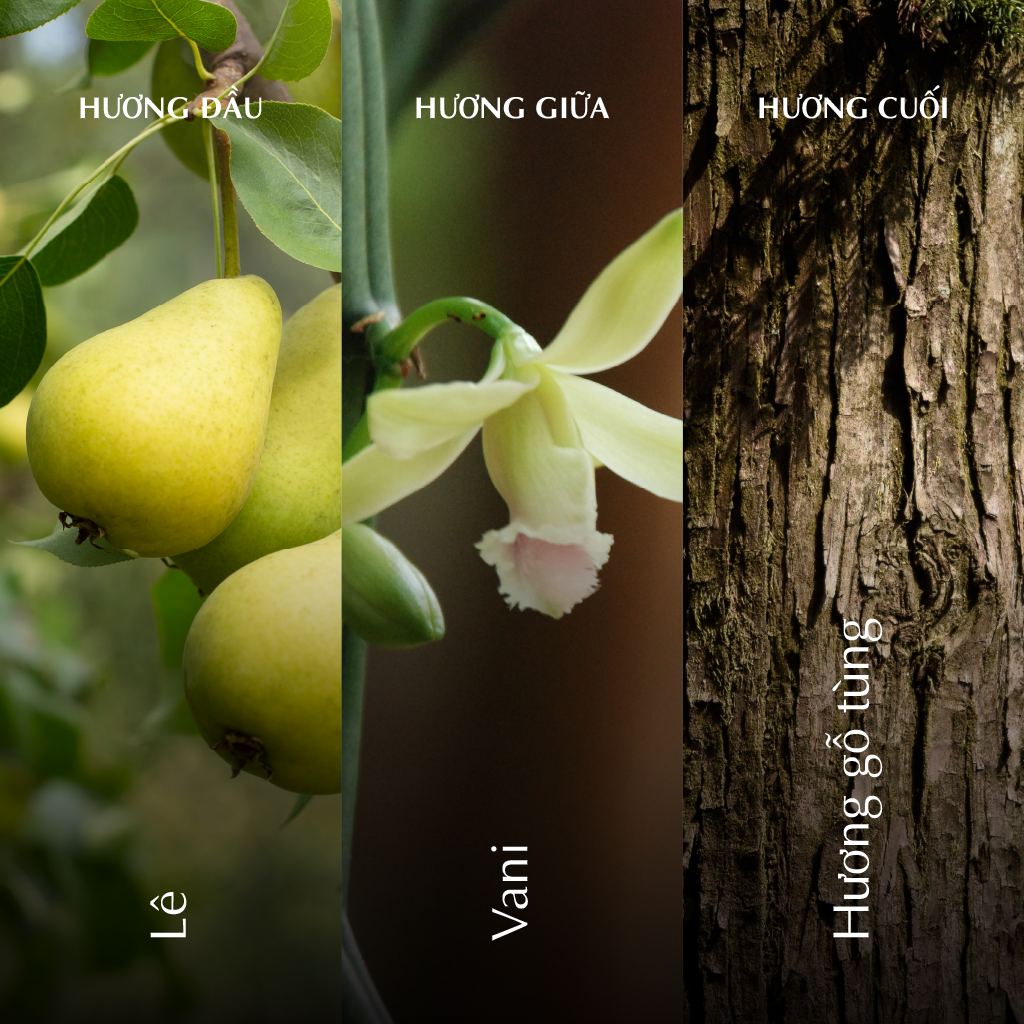 Nến thơm (K2) - Hương Đông - Trắng Bóng Mờ