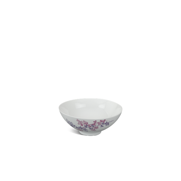 Tô trung - Daisy - Cỏ Tím