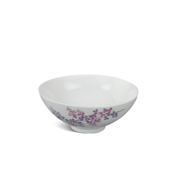 Tô trung - Daisy - Cỏ Tím