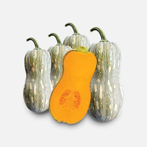  BÍ HỒ LÔ ĐÀ LẠT 