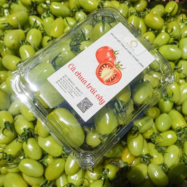  CÀ CHUA NGỌC BÍCH 