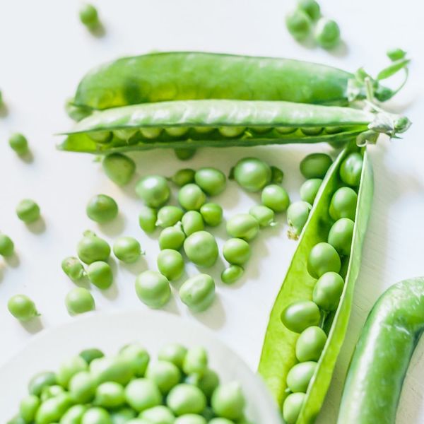  ĐẬU HÀ LAN HẠT 