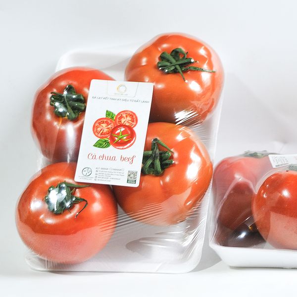  CÀ CHUA BEEF NHỎ 