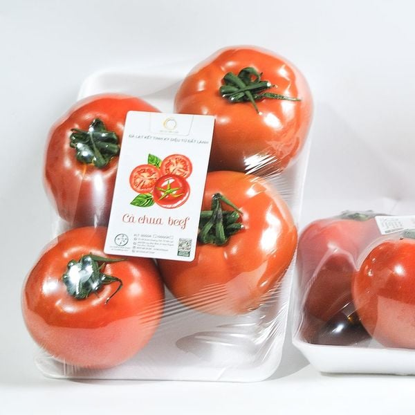  CÀ CHUA BEEF LỚN 