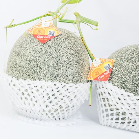  DƯA LƯỚI MẬT 