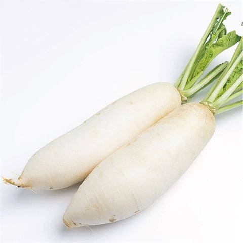  CỦ CẢI TRẮNG 