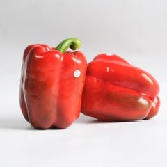 productNext
