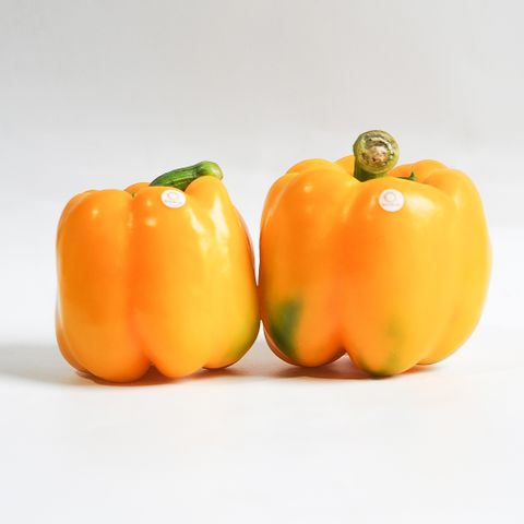  ỚT CHUÔNG 