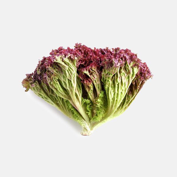  XÀ LÁCH LOLO TÍM THỦY CANH 