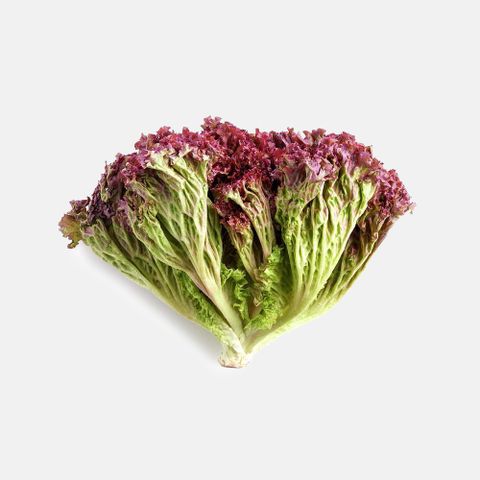  XÀ LÁCH LOLO TÍM THỦY CANH 