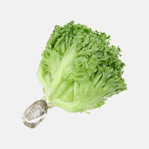  XÀ LÁCH THỦY TINH THỦY CANH 