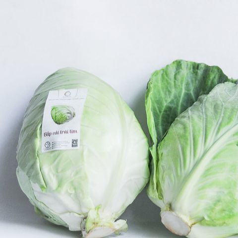  BẮP CẢI TRÁI TIM 