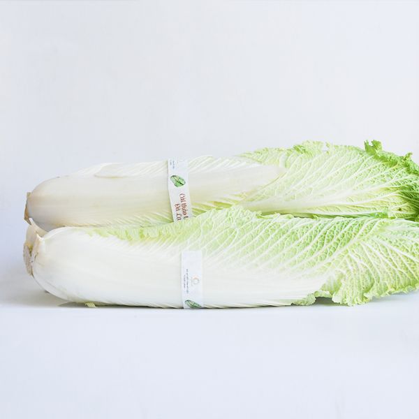  CẢI THẢO TRẮNG 