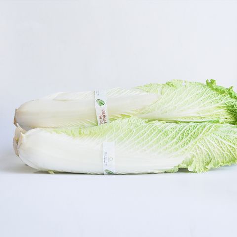  CẢI THẢO TRẮNG 