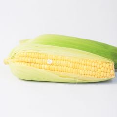 productPrev