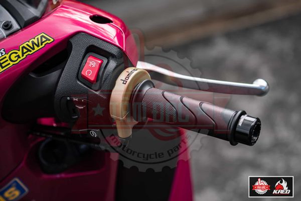 cum-ga-cum-tang-toc-domino-vang-2-day-ga-duoi