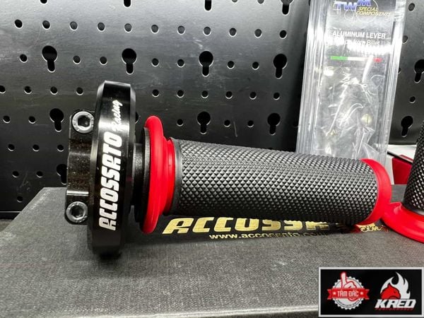 cum-tang-toc-accossato-den-2-day-duoi-chinh-hang