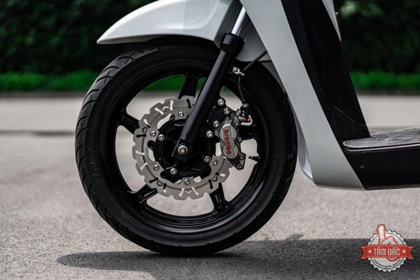 dia-thang-malossi-260mm-chinh-hang