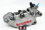  Heo Brembo 4 Piston bên trái 