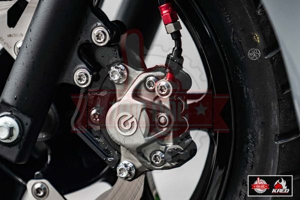 heo-brembo-2-piston-logo-lon-chinh-hang